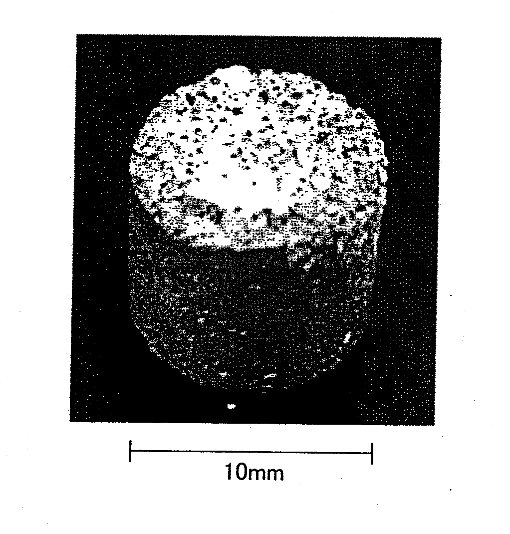 Sintered porous metal body and a method of manufacturing the same