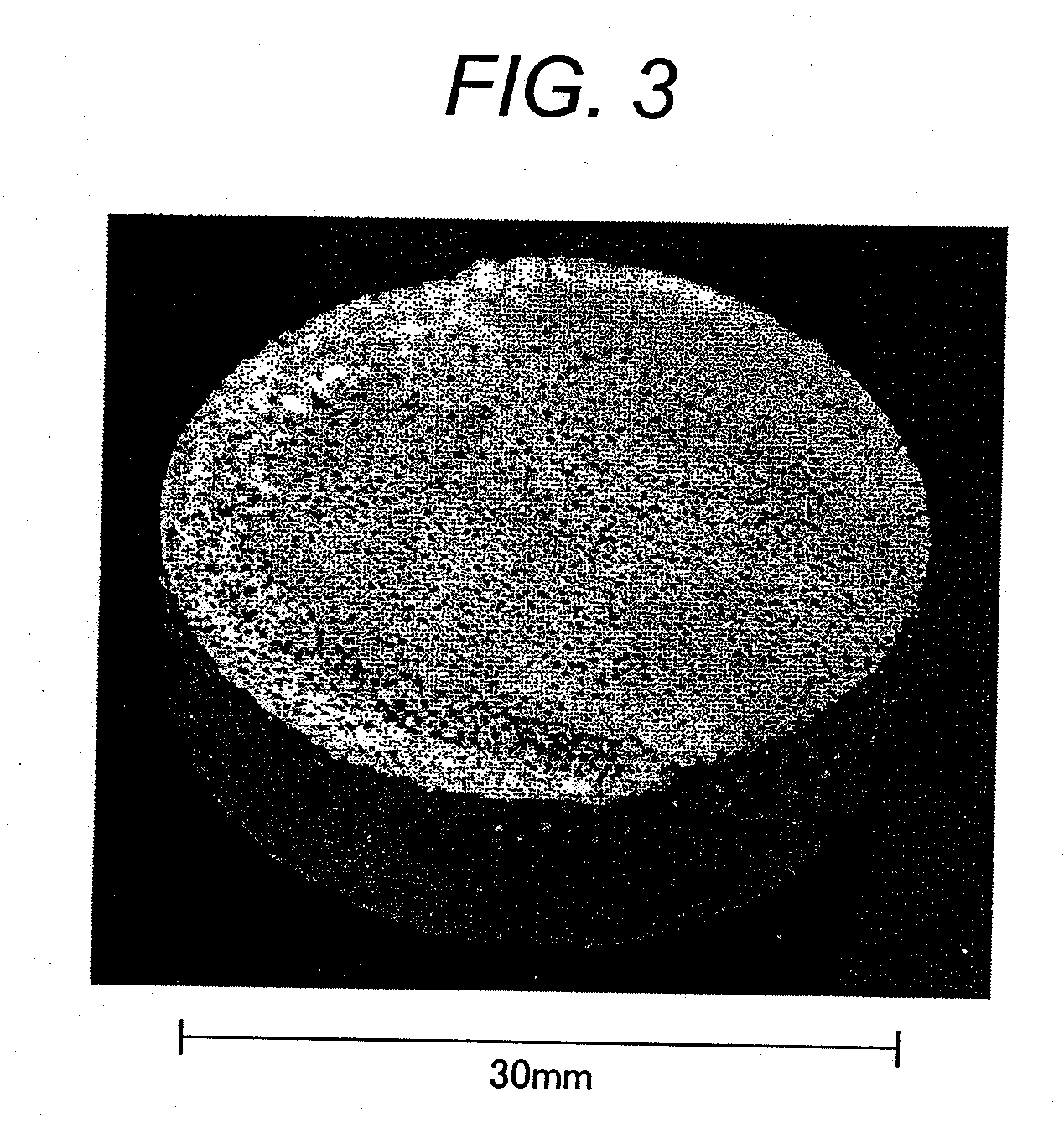 Sintered porous metal body and a method of manufacturing the same