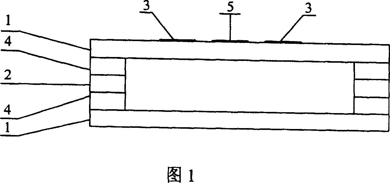 Three-electrode field transmitting displaying device with glass strip array as separated pole and production thereof