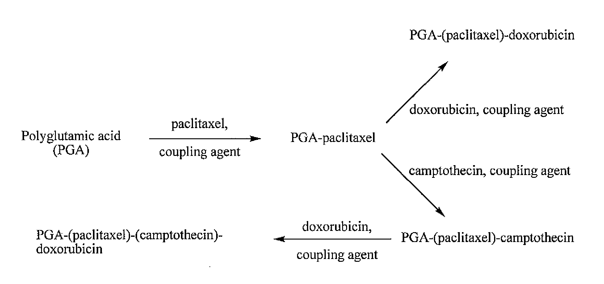 Polyglutamate conjugates and polyglutamate-amino acid conjugates having a plurality of drugs