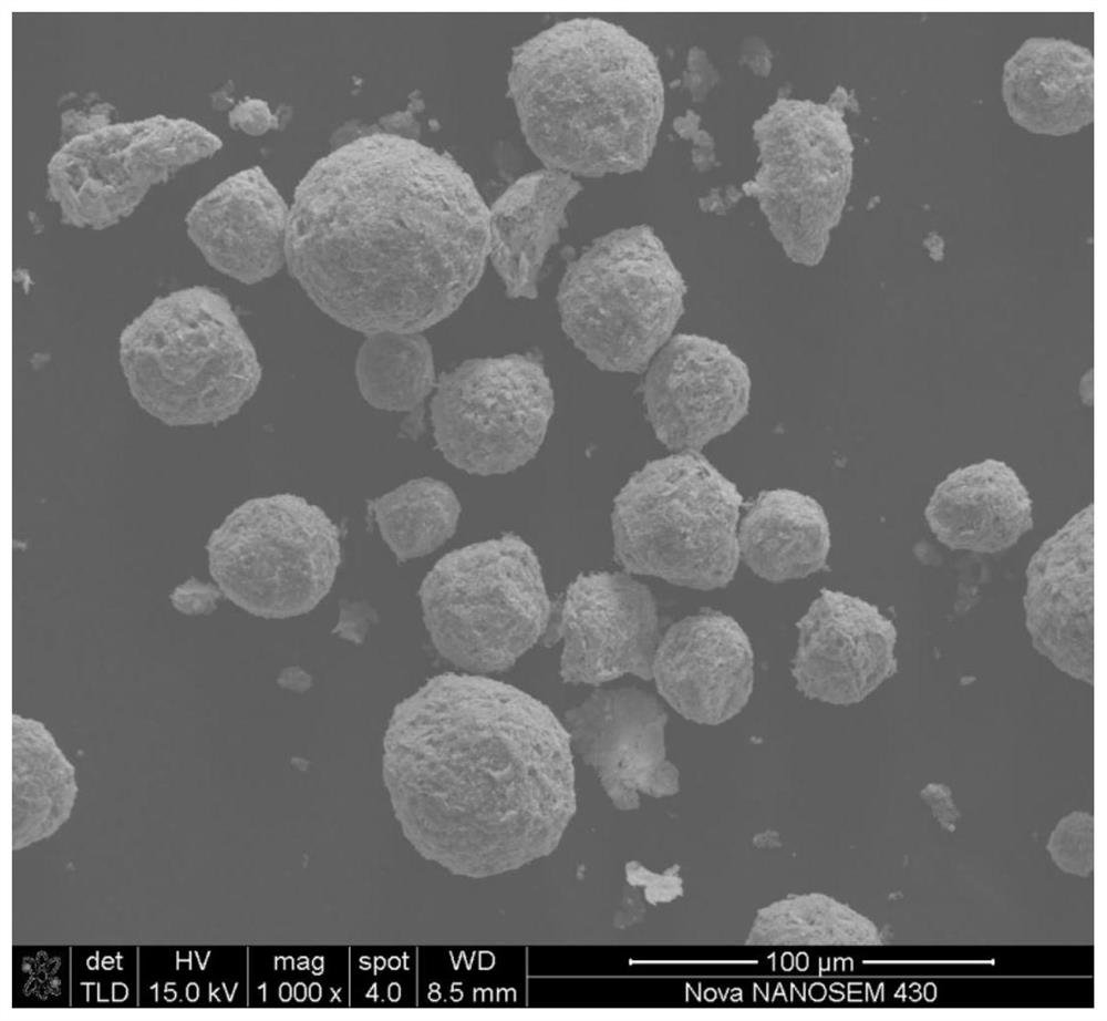 A kind of high sphericity nanostructure stainless steel powder and preparation method thereof