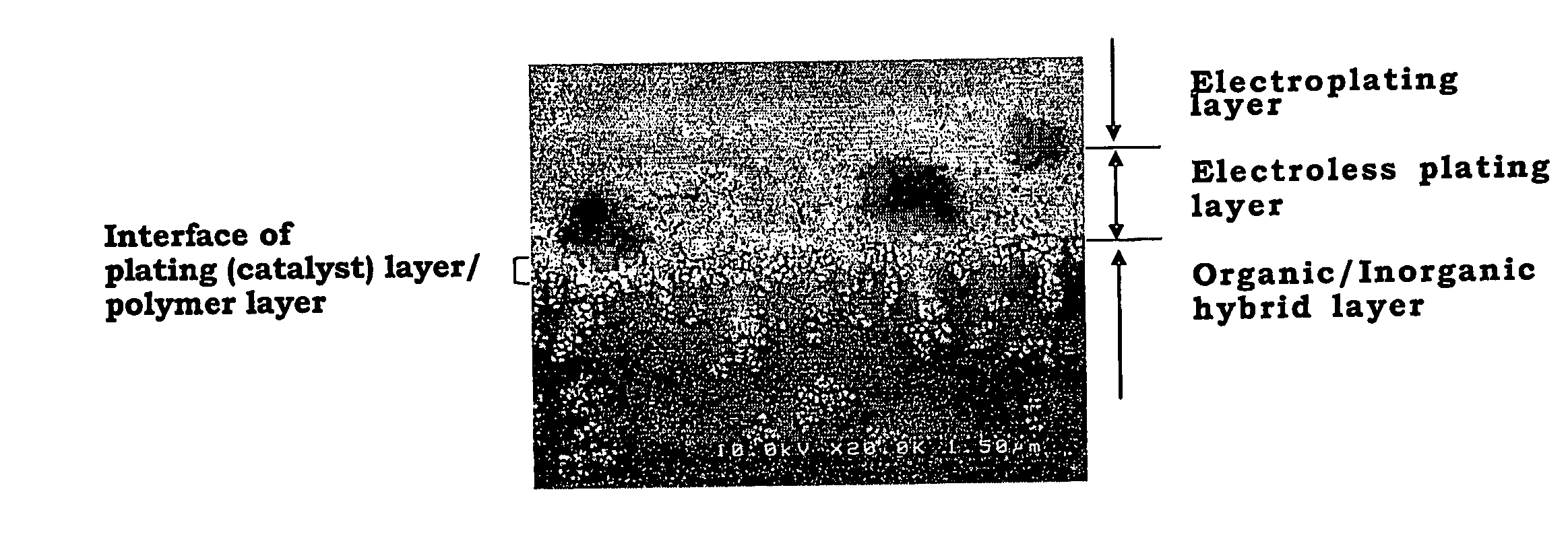 Metal Pattern Forming Methd, Metal Pattern Obtained by the Same, Printed Wiring Board, Conductive Film Forming Method, and Conductive Film Obtained by the Same