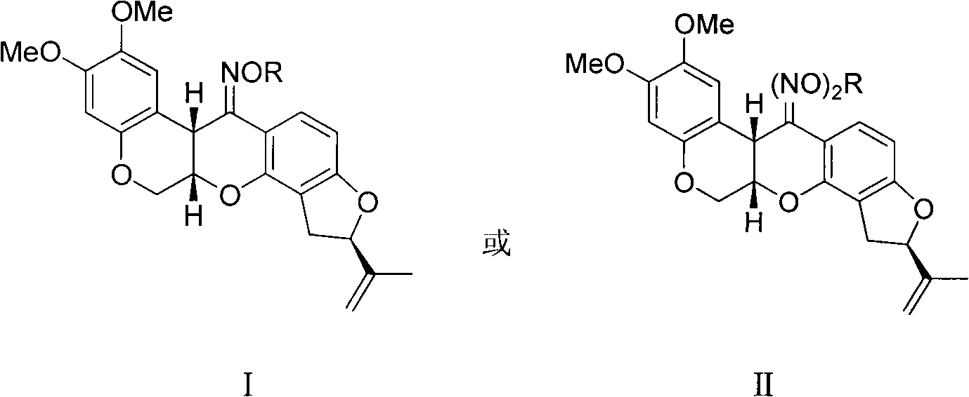 Rotenone oxime ether, preparation method and applications thereof