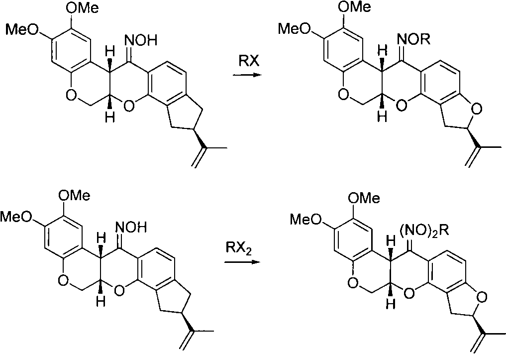 Rotenone oxime ether, preparation method and applications thereof