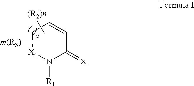 Process for synthesizing oxidized lactam compounds