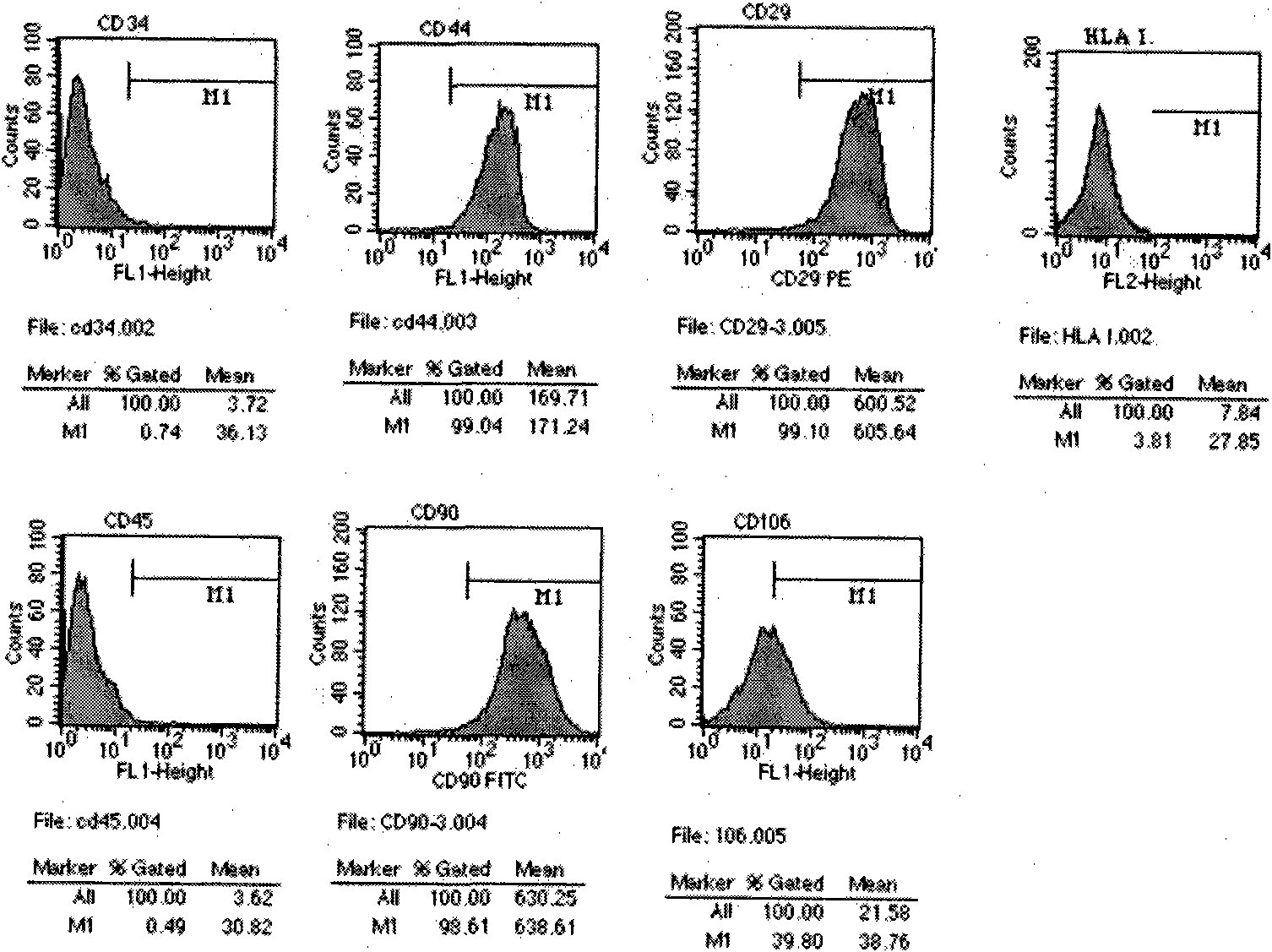 In vitro amplification method of human marrow pluripotent stem cells and method for directionally differentiating same into dopaminergic neuron