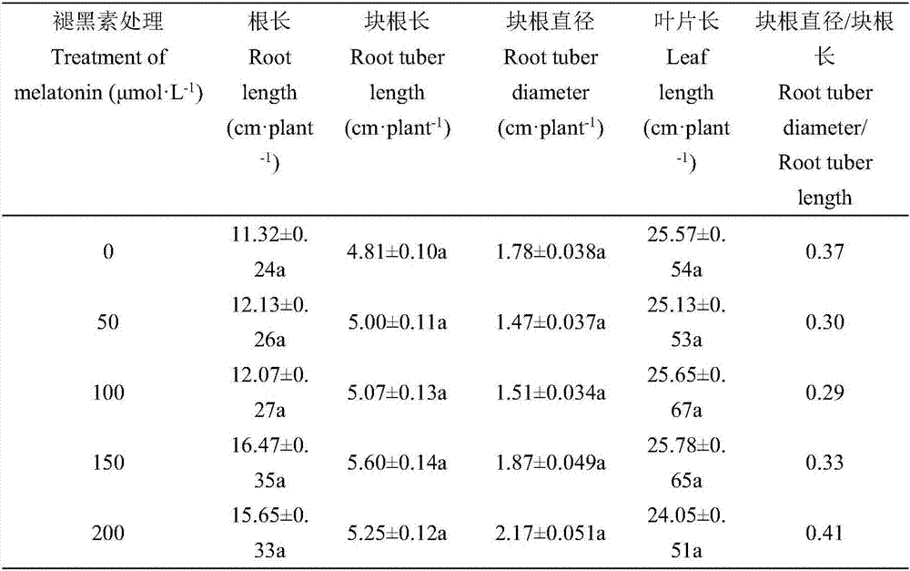 Method for evidently lowering cadmium accumulation of Raphanus sativus and promoting growth of Raphanus sativus