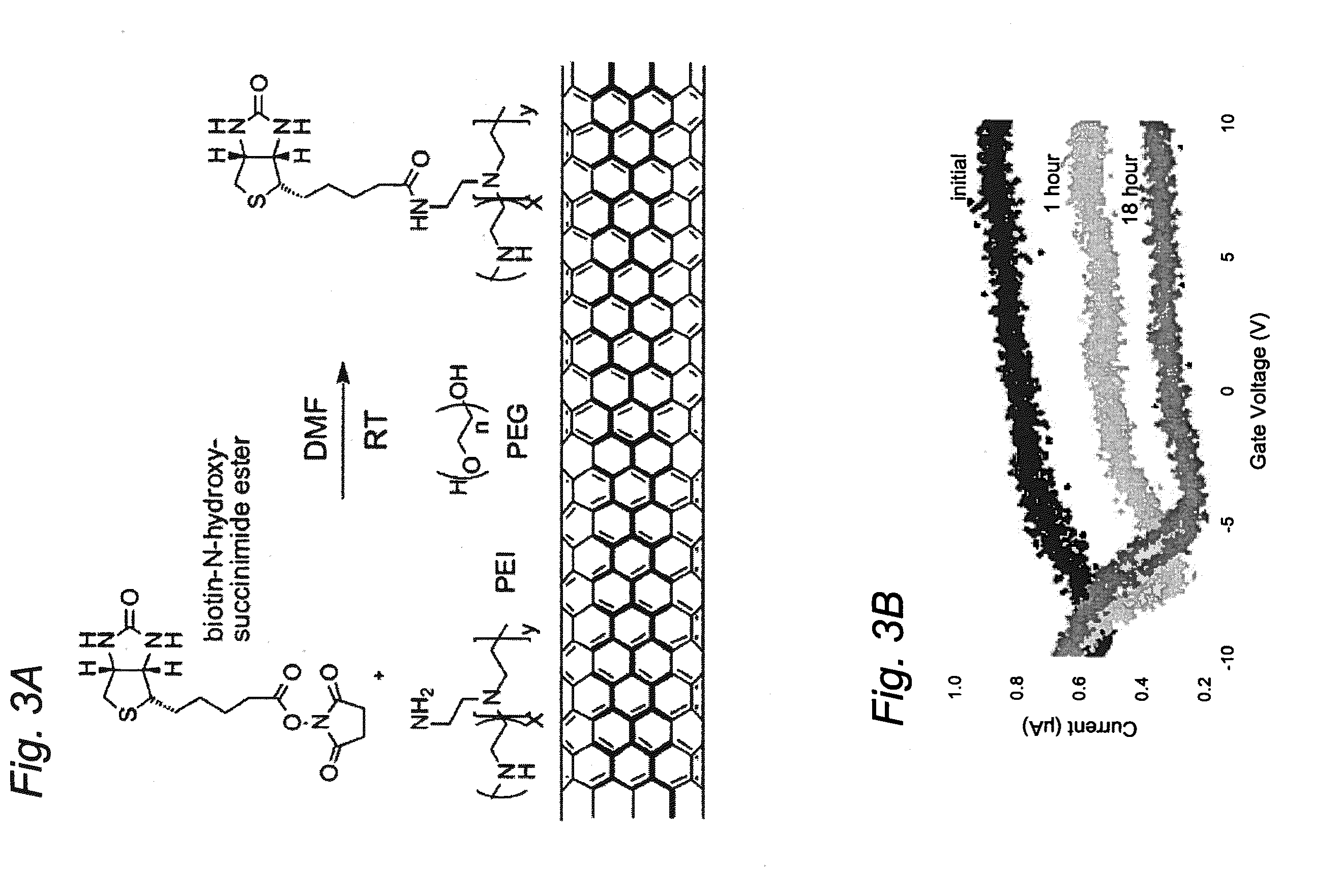System and method for electronic sensing of biomolecules