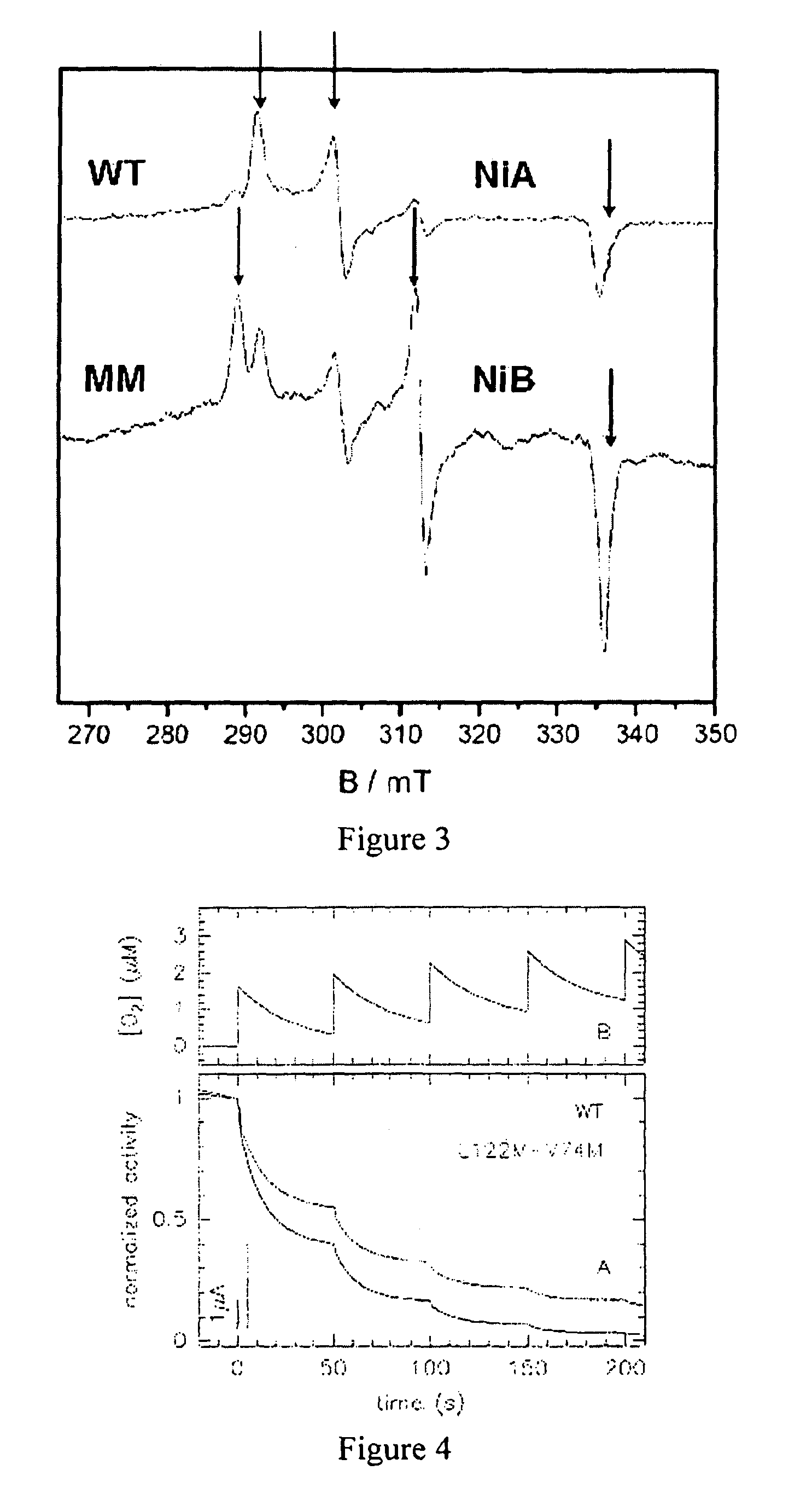 [NiFe]-hydrogenases having an improved resistance to dioxygen, process for obtaining them and their applications