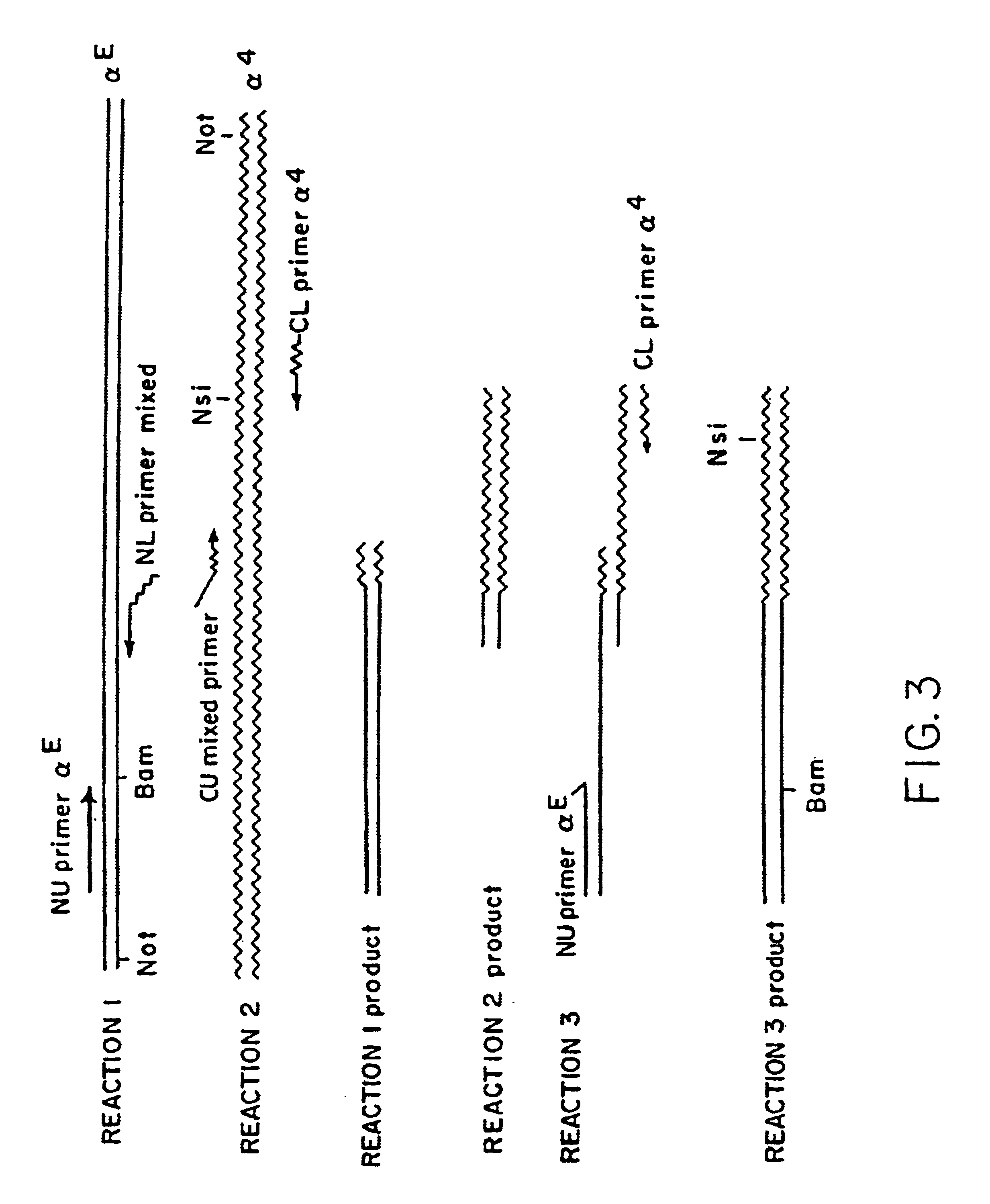 Methods and compositions for modulating heterotypic E-cadherin interactions with T lymphocytes