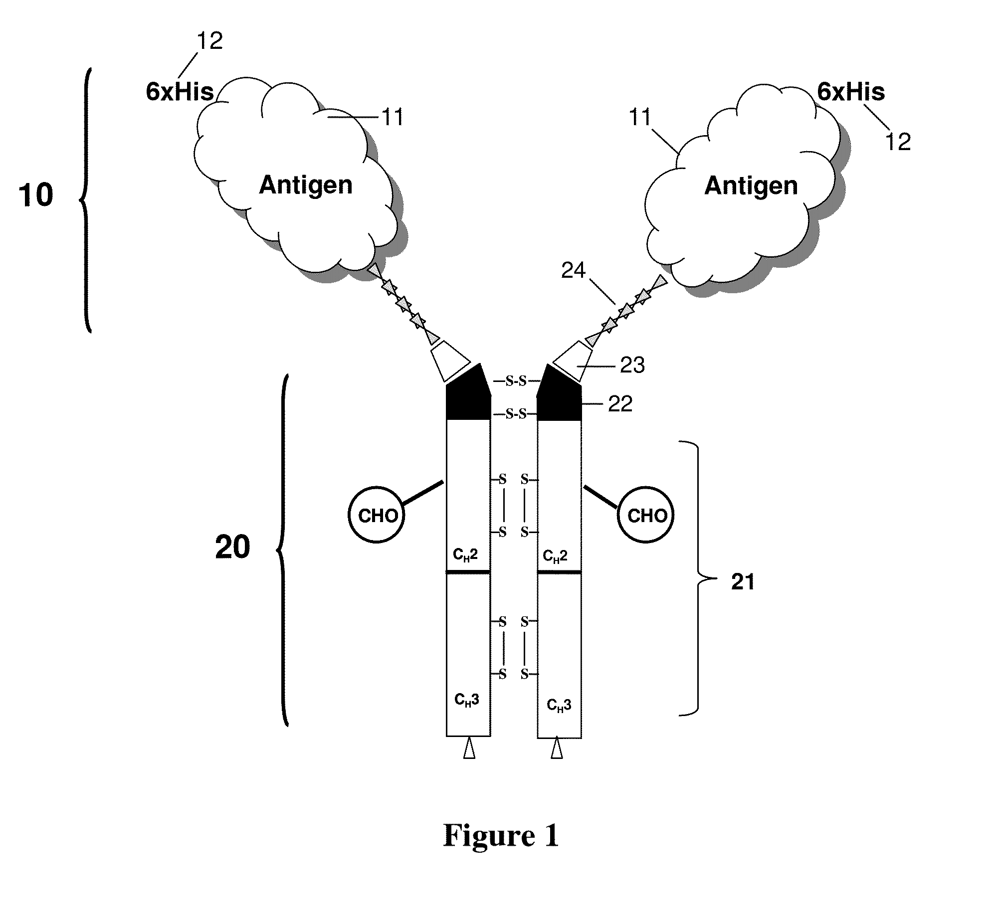 Antigenic compositions and use of same in the targeted delivery of nucleic acids