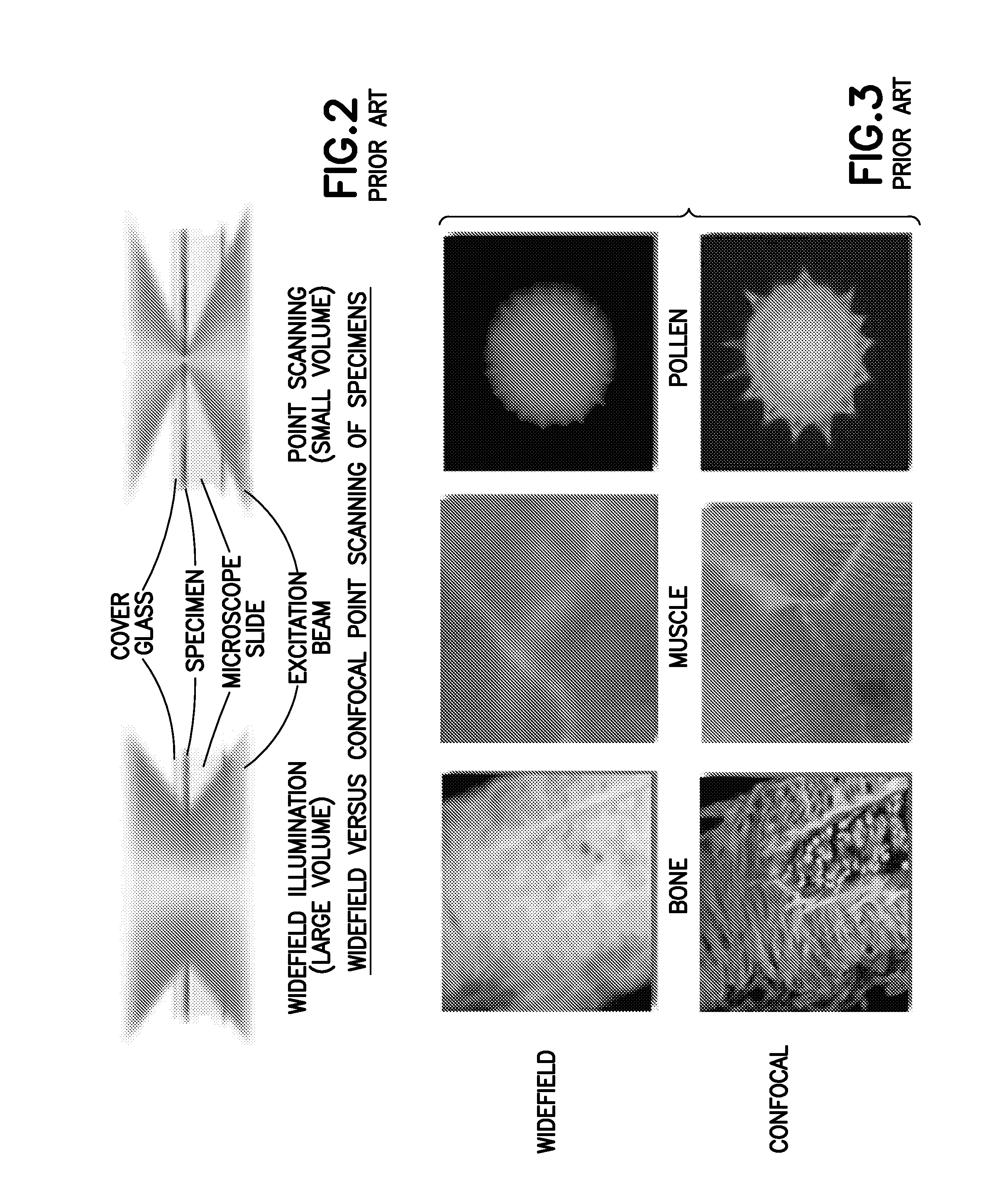 Method to quantify discrete pore shapes, volumes, and surface areas using confocal profilometry