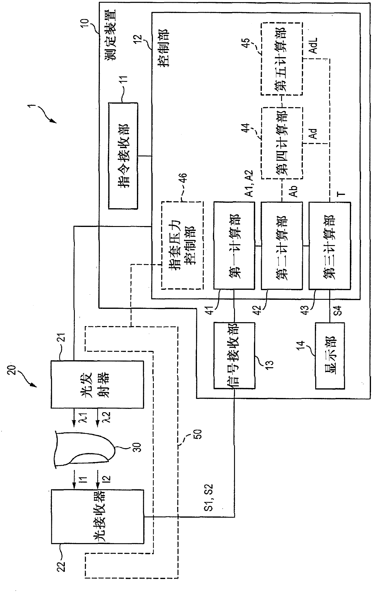 Biological signal measuring system and biological signal measuring apparatus