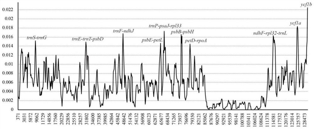 DNA bar code for identifying lilium plants and application thereof