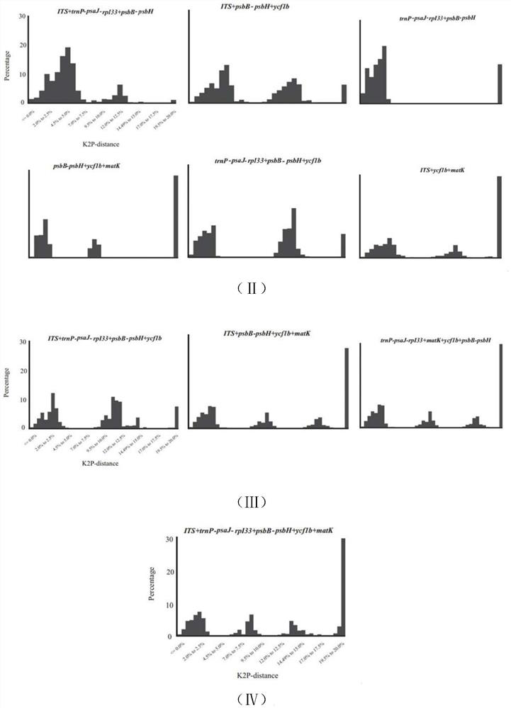 DNA bar code for identifying lilium plants and application thereof