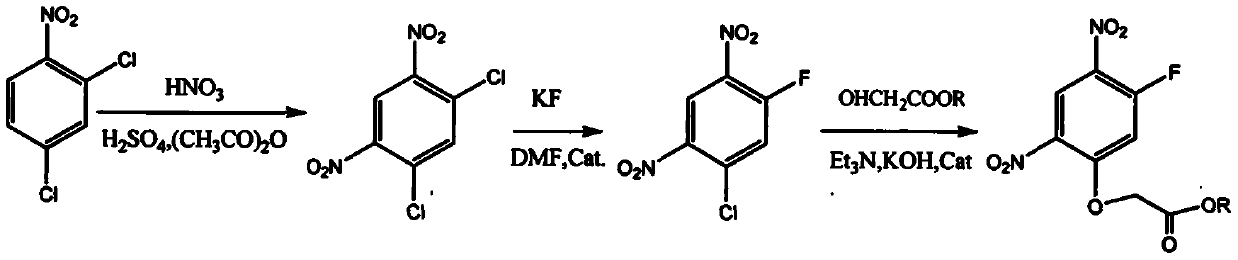 Method for synthesizing 2-(5-fluoro-1, 5 dinitro-phenoxy) acetate