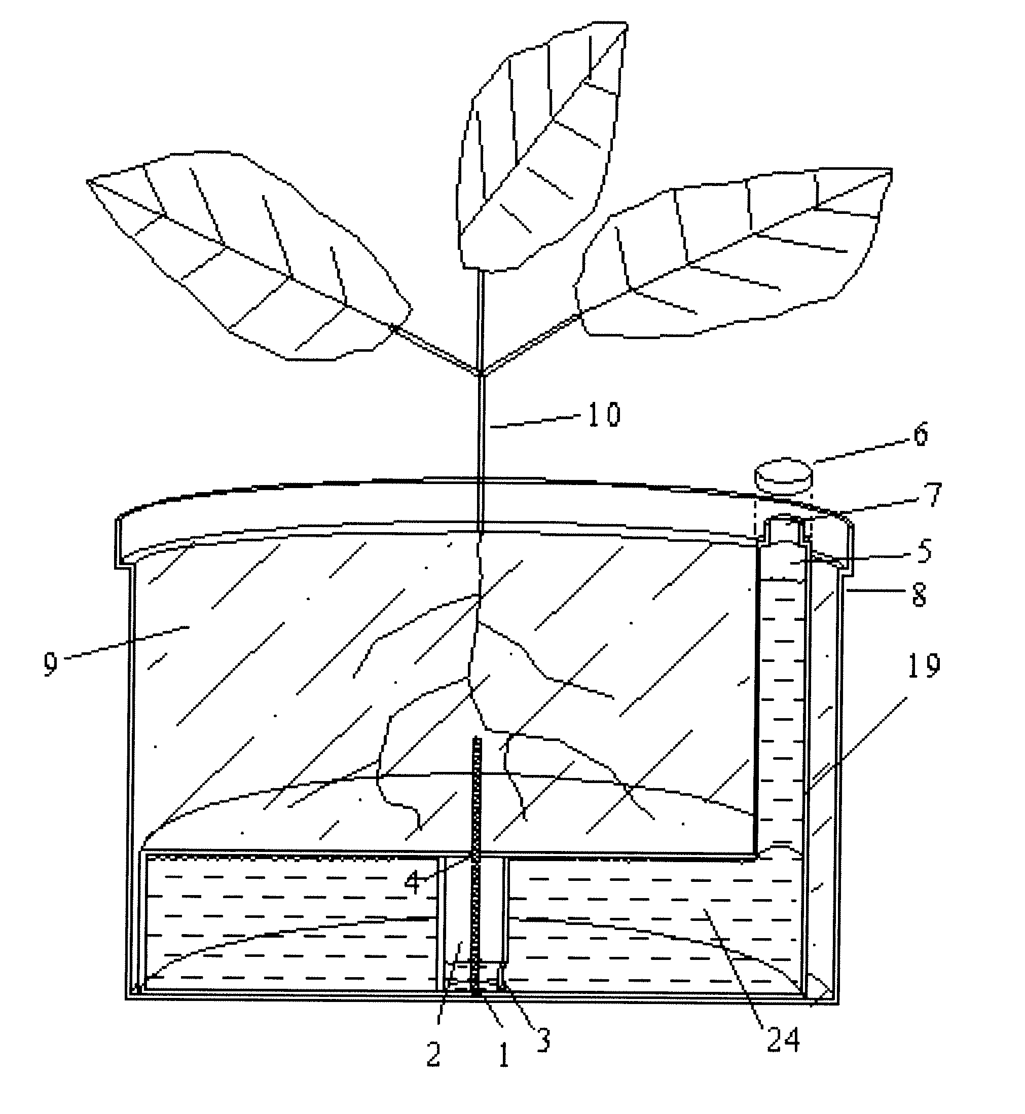 Self Watering Plant System