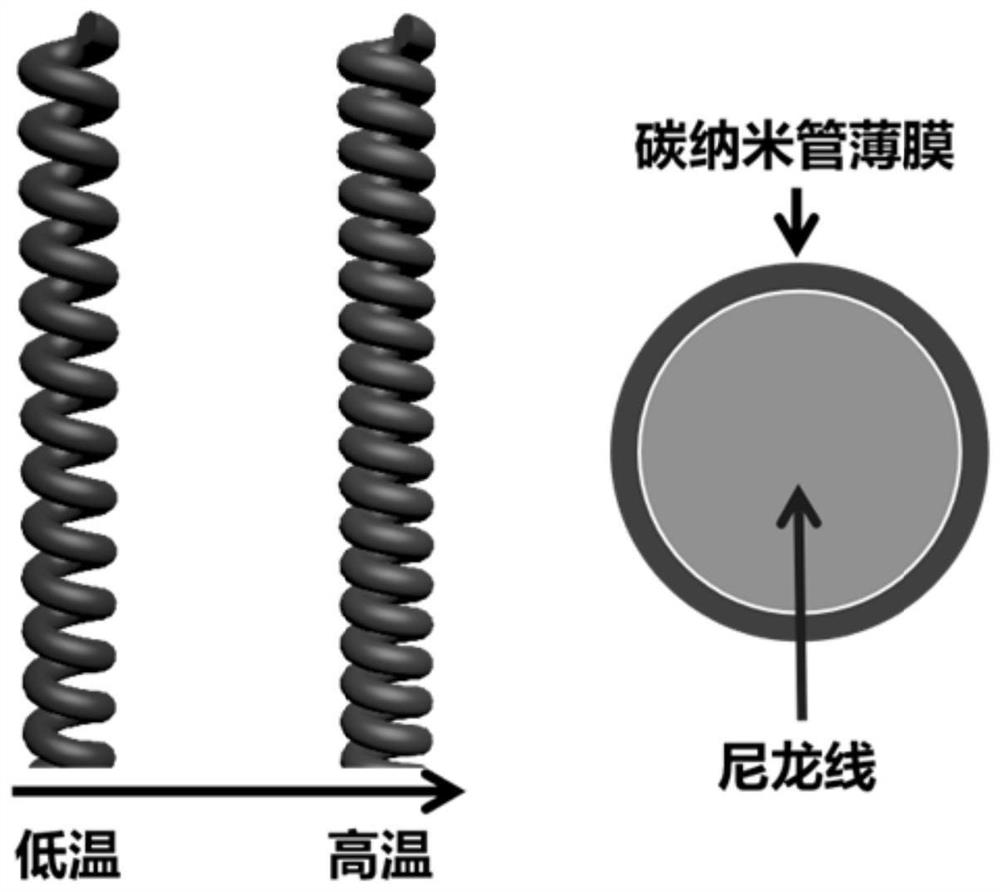 Electrostrictive spiral artificial muscle and preparation and application thereof