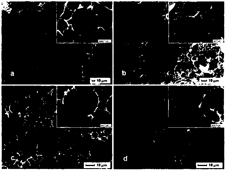 A kind of preparation method of magnetic porous molecularly imprinted polymer