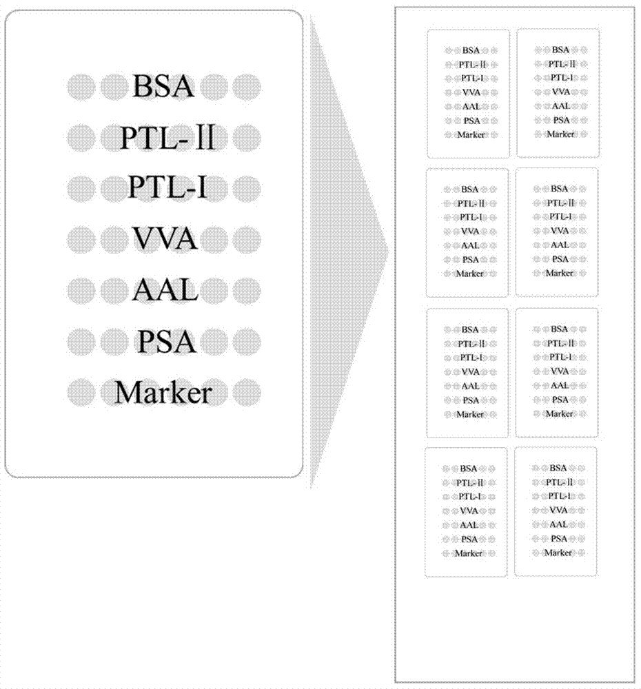 A lectin chip and method for detecting sugar chain markers based on salivary protein