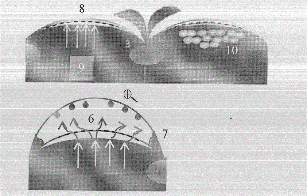 Agricultural mulching film with double-layer structure
