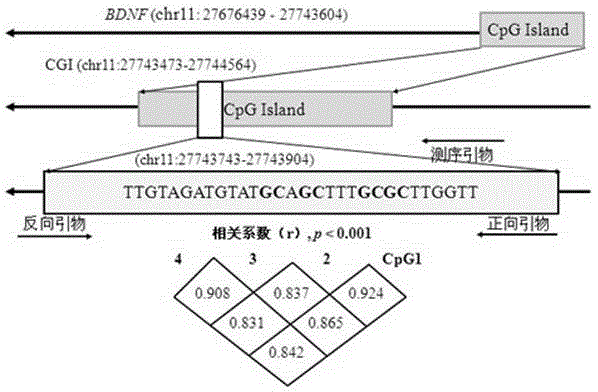 A detection kit for auxiliary diagnosis of Alzheimer's disease and its detection method