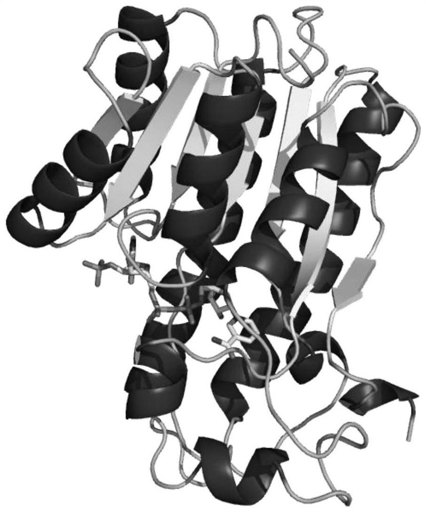 A kind of alcohol dehydrogenase mutant and its application