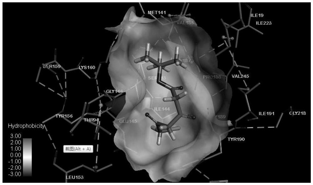 A kind of alcohol dehydrogenase mutant and its application