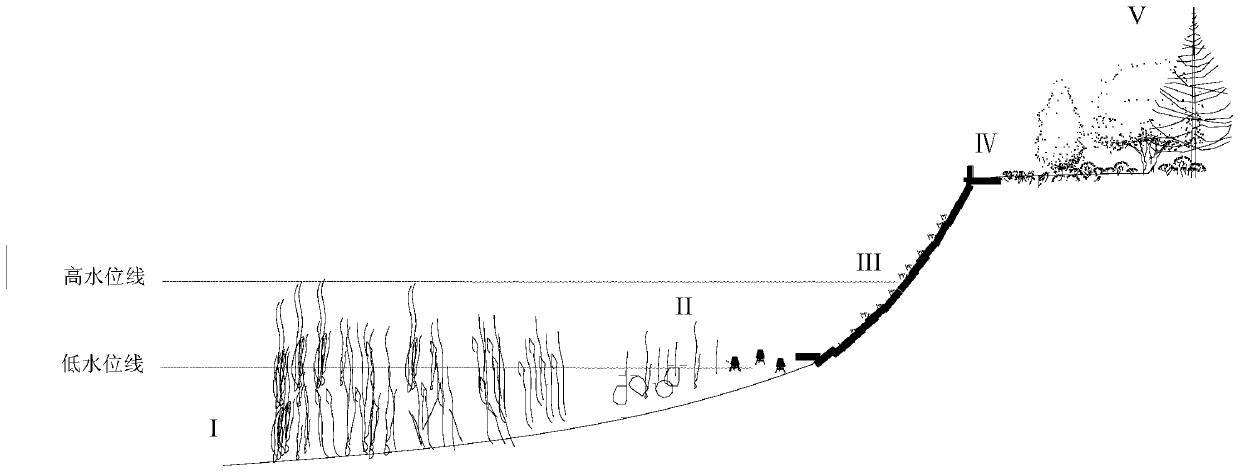 Multi-function riparian biodiversity maintenance structure and construction method thereof