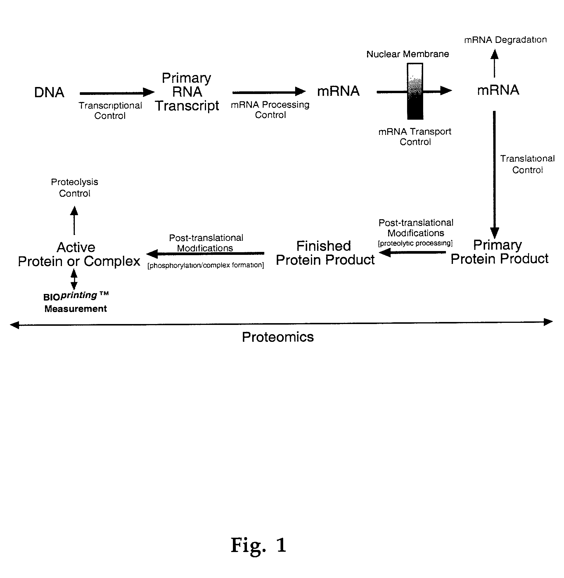 Methods for determining the activity of complex mixtures