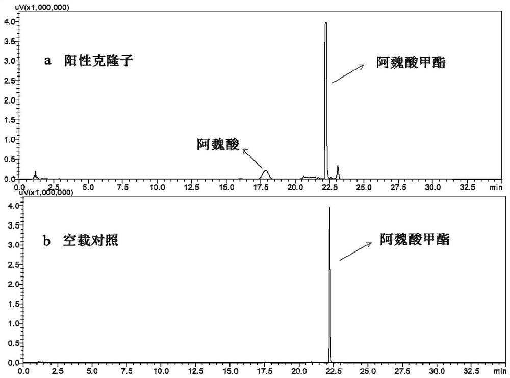 A novel ferulic acid esterase and its coding gene and application