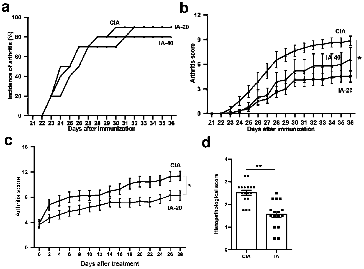 Application of indoleacrylic acid in preparing drug for preventing and treating rheumatoid arthritis