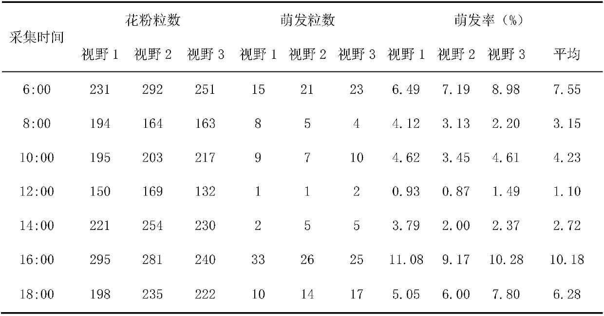 A production method for cryopreservation and regeneration of euonymus pollen