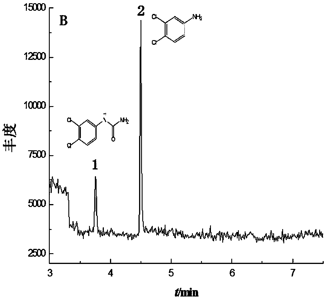 Method for determining diuron residues in sugarcane based on 3,4-dichloroaniline