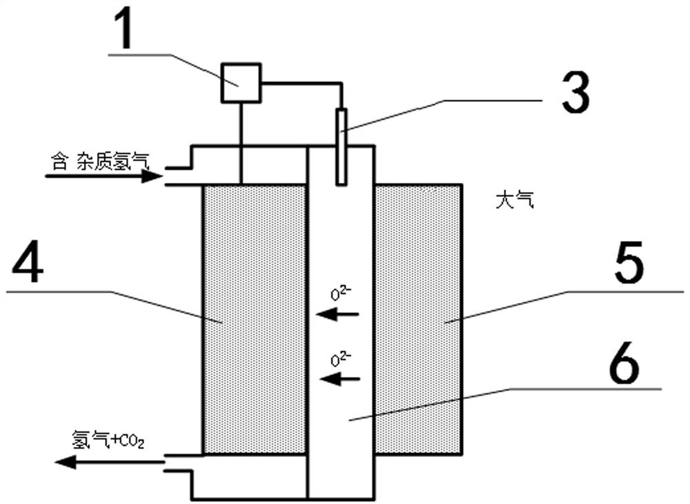 Hydrogen impurity purification device for fuel cell