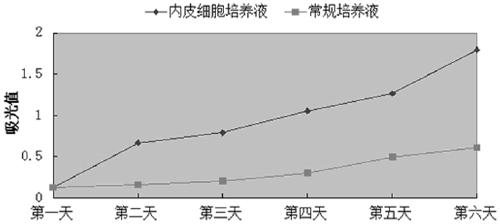 A culture medium for endothelial cells