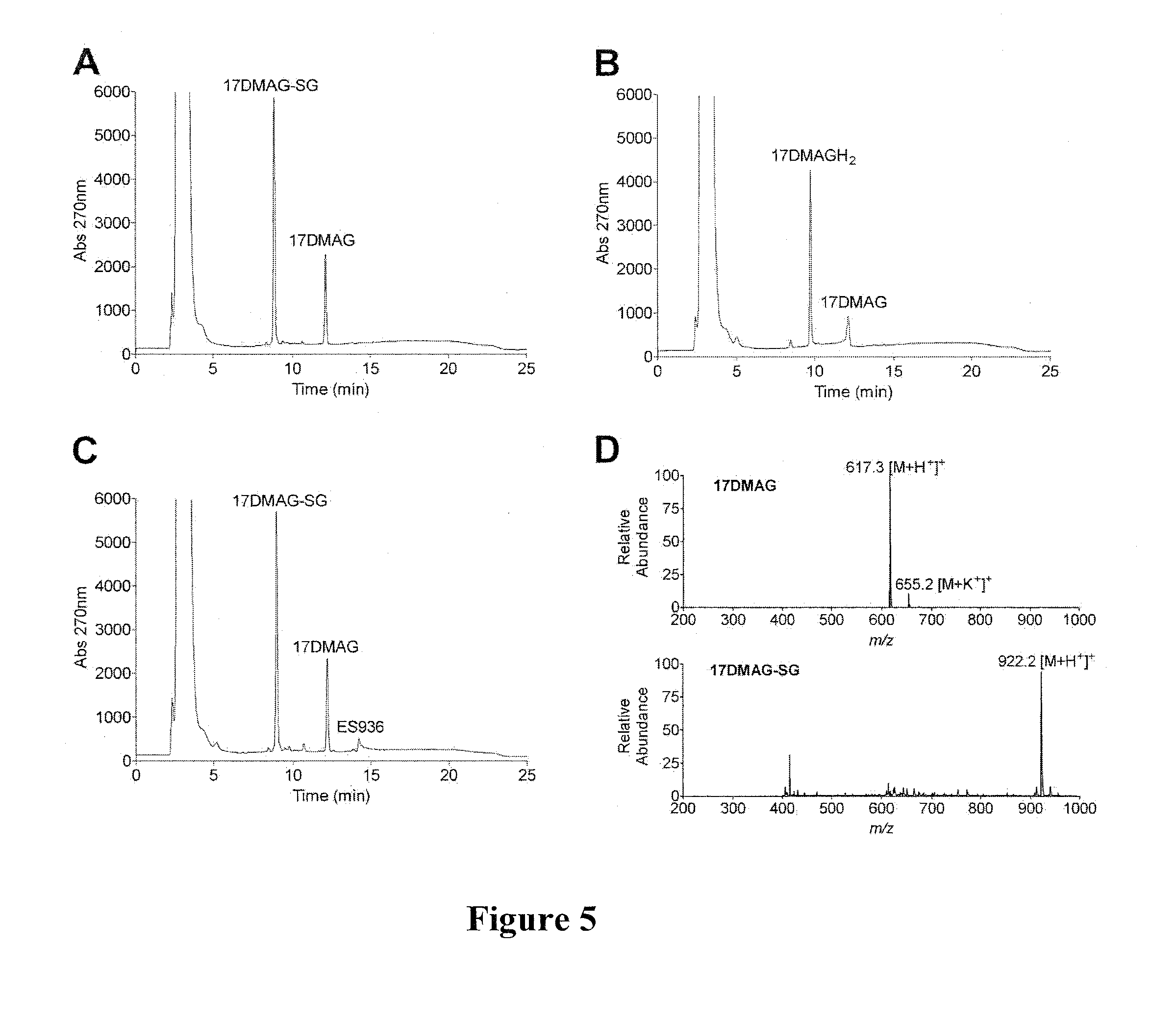 Hsp90 inhibitors with modified toxicity