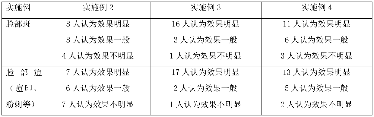 Traditional Chinese medicine mask and preparation method thereof