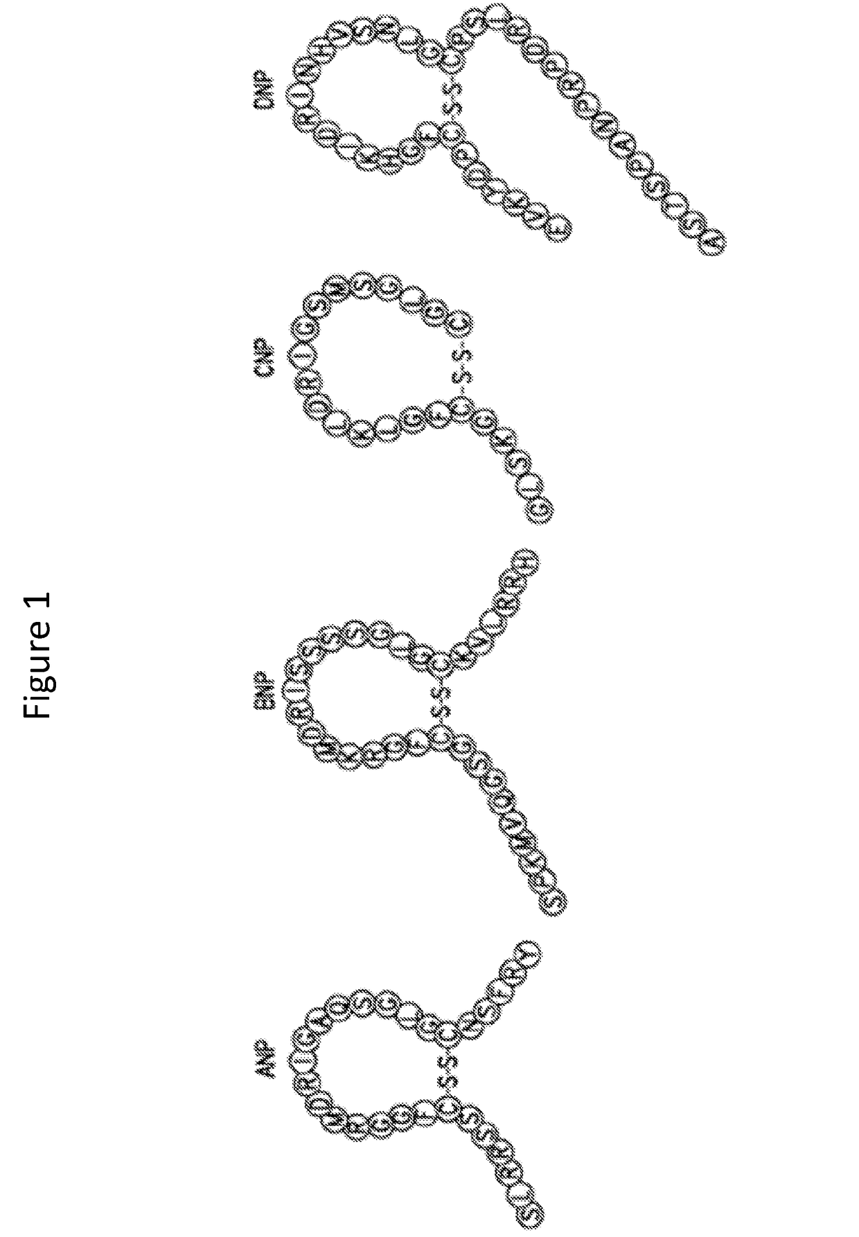 Methods and materials for reducing cysts and kidney weight in mammals with polycystic kidney disease