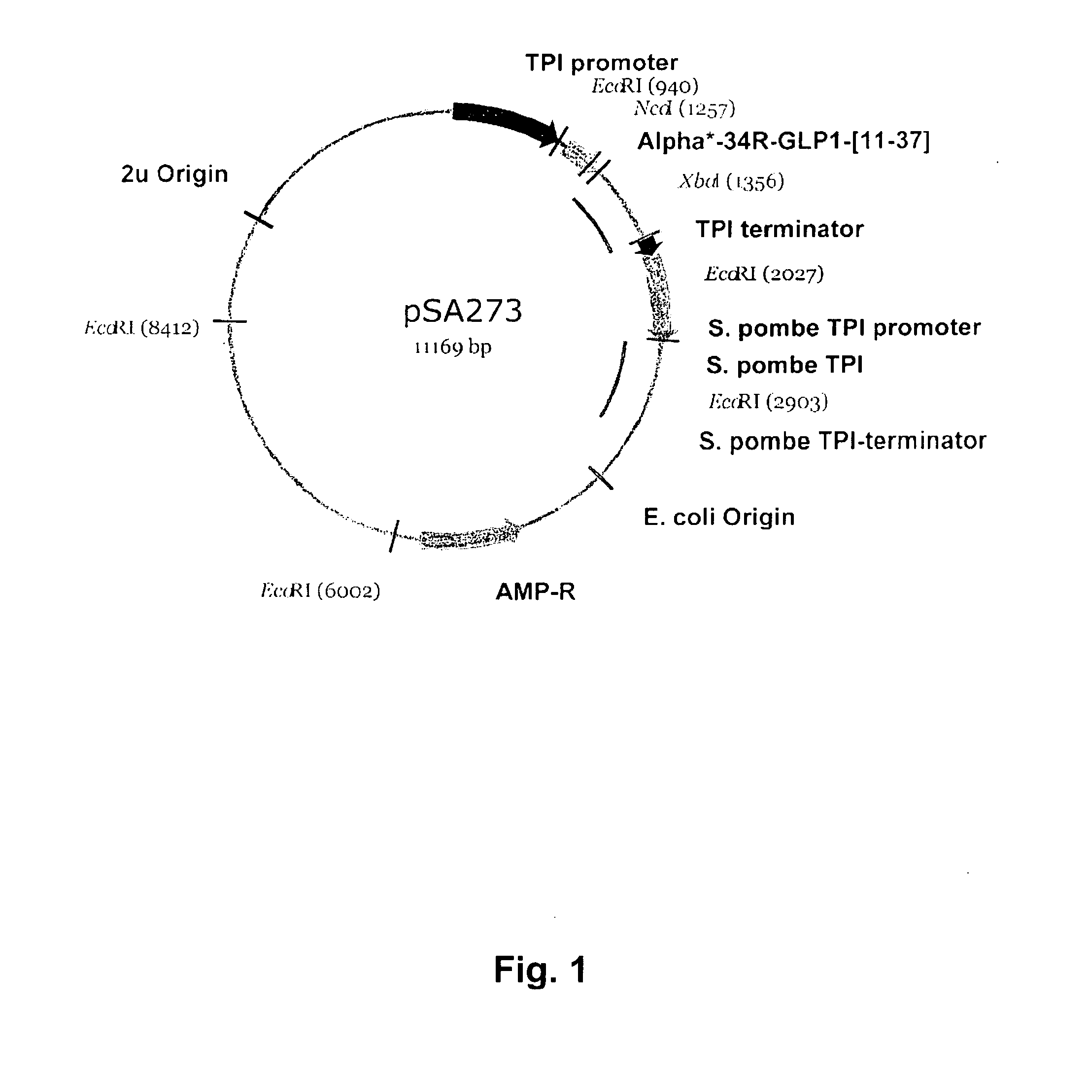 Semi-recombinant preparation of glp-1 analogues