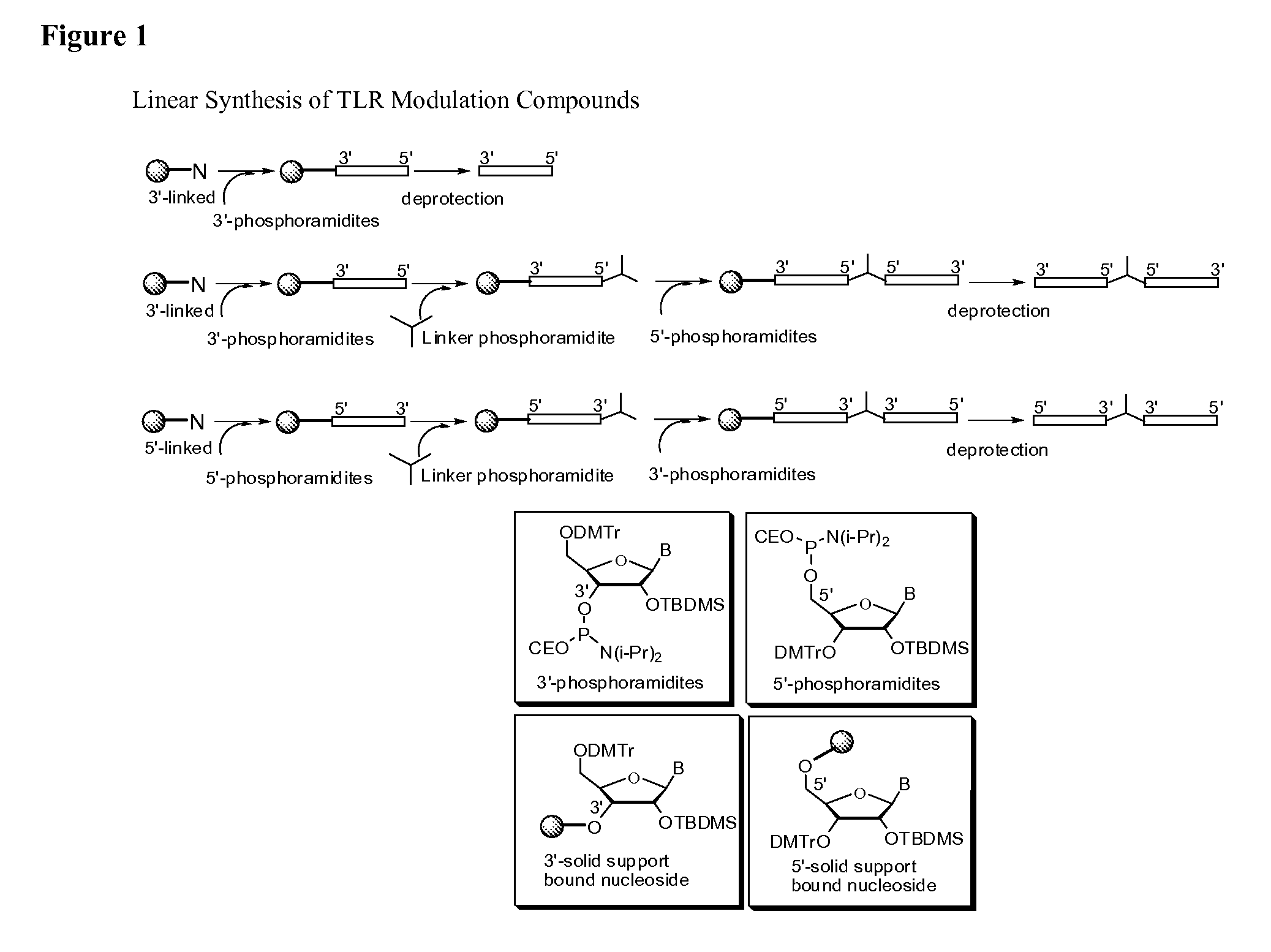 Toll like receptor modulators