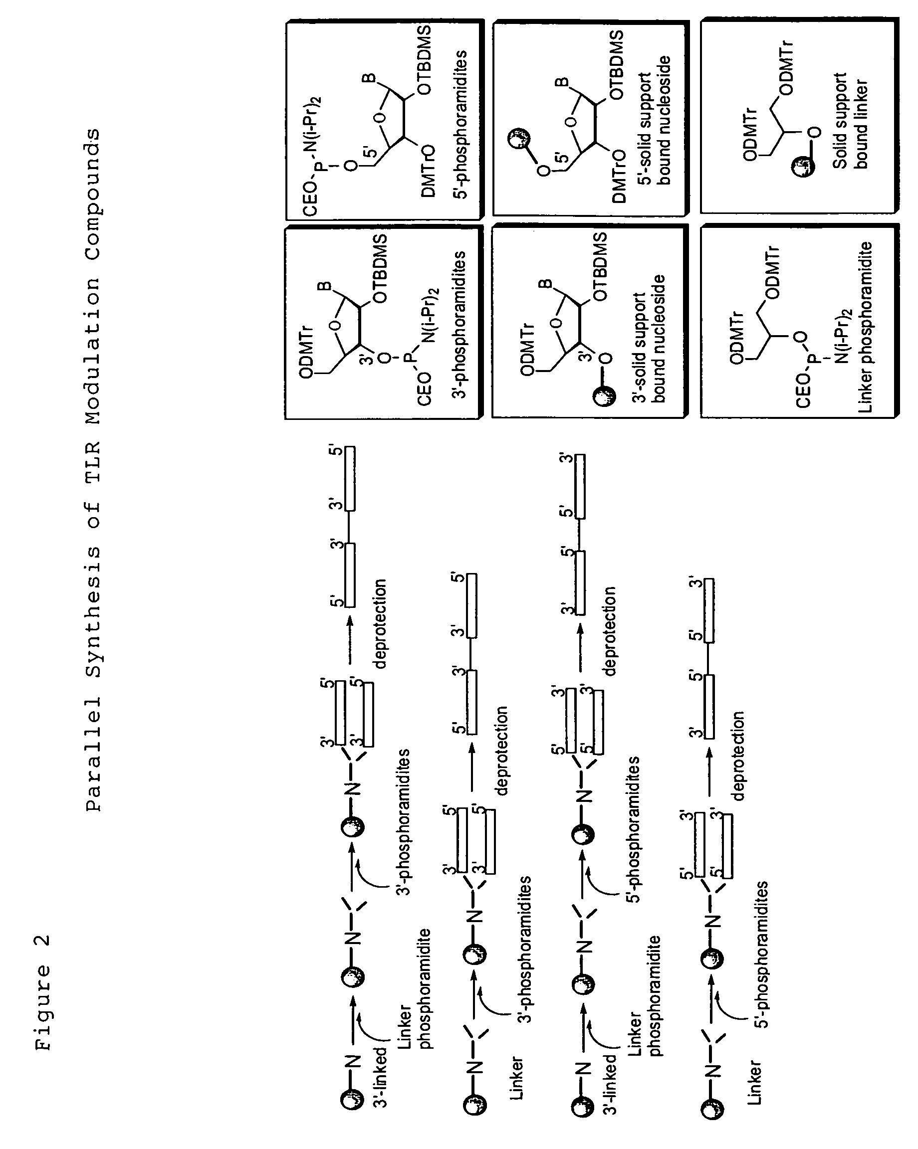 Toll like receptor modulators