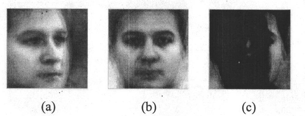 Front-face-compensation-operator-based multi-pose human face recognition method