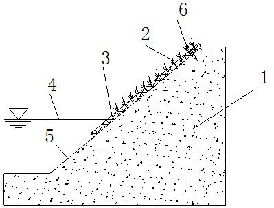 Ecological slope protection method for protecting side slope of silty soil ditch by using grass mat