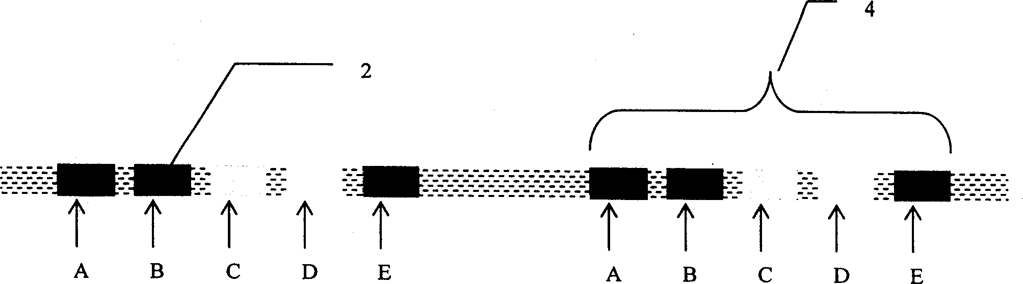 Chromatoghraph line antiforge method chromatograph line antiforge paper