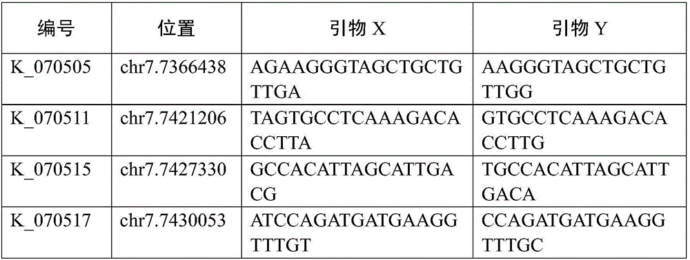 SNP (simple nucleotide polymorphism) modular marker for rice low cadmium accumulation gene OsHMA3 and application thereof