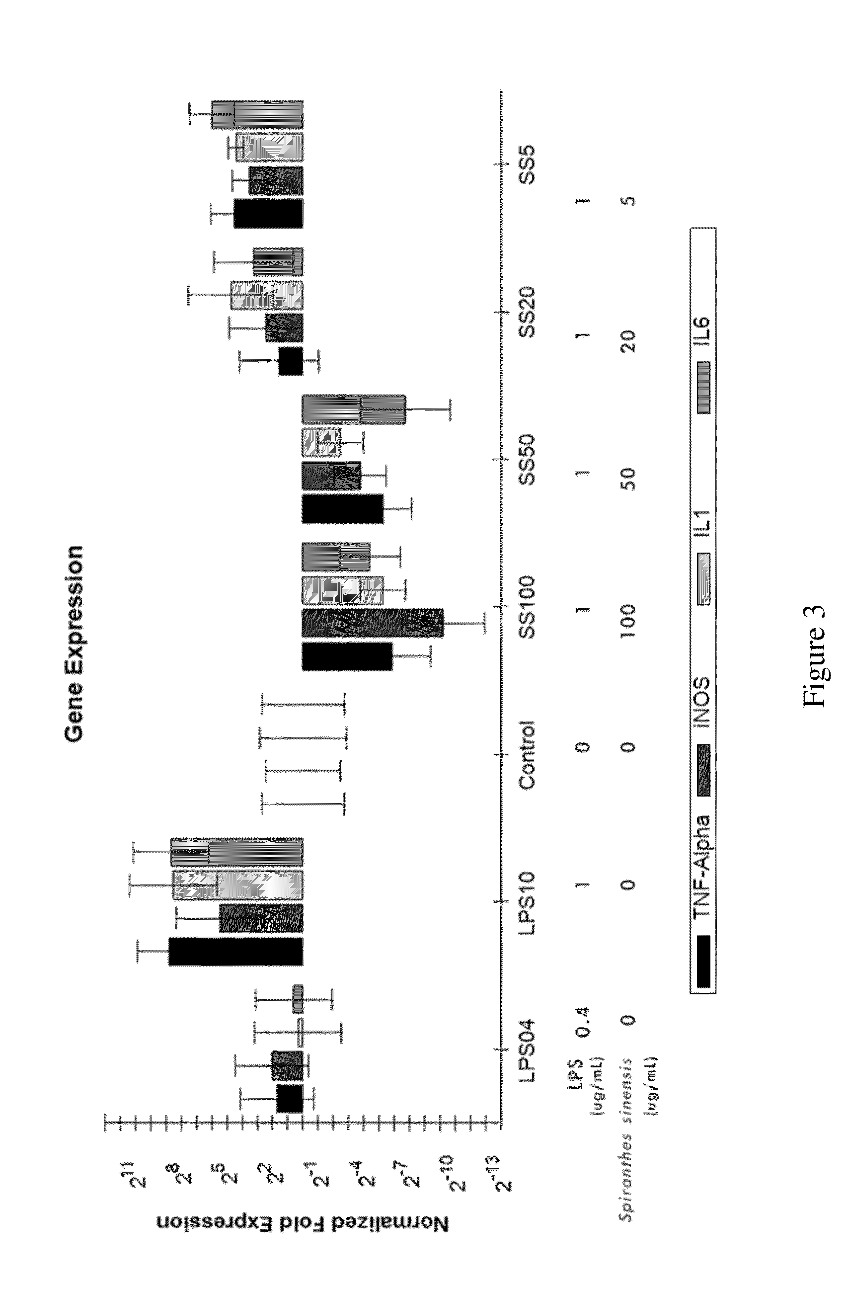 Composition containing a spiranthes sinensis extract and pharmaceutical applications thereof