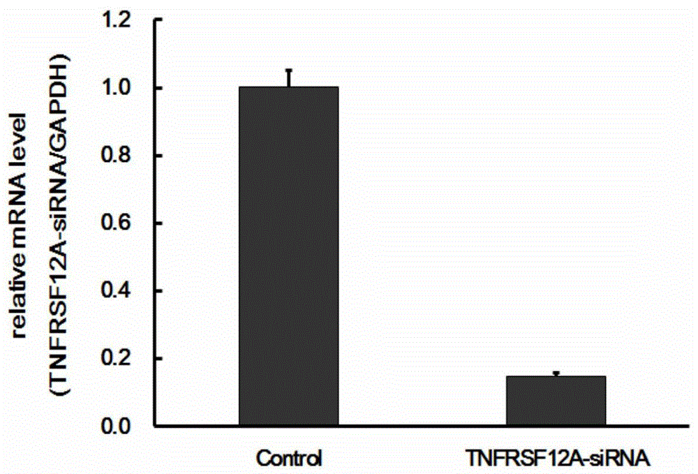 Use of human TNFRSF12A gene and related drugs