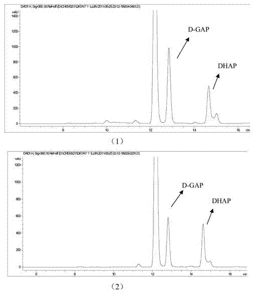 Method for selecting 1-deoxy-D-xylulose-5-phosphate synthase inhibitor from plant extract