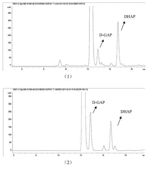 Method for selecting 1-deoxy-D-xylulose-5-phosphate synthase inhibitor from plant extract
